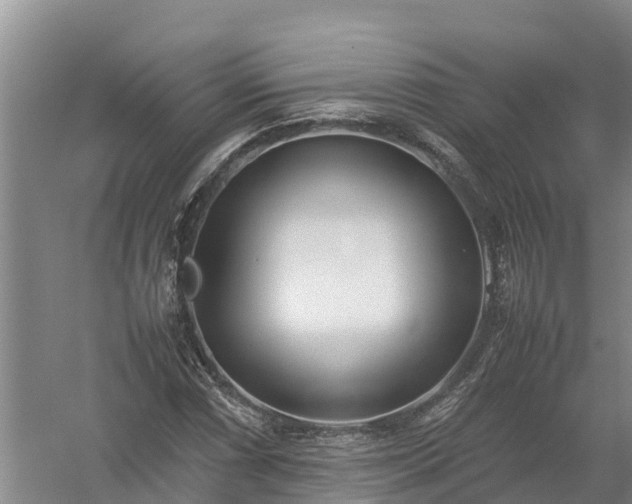 X0000058111066200509301855