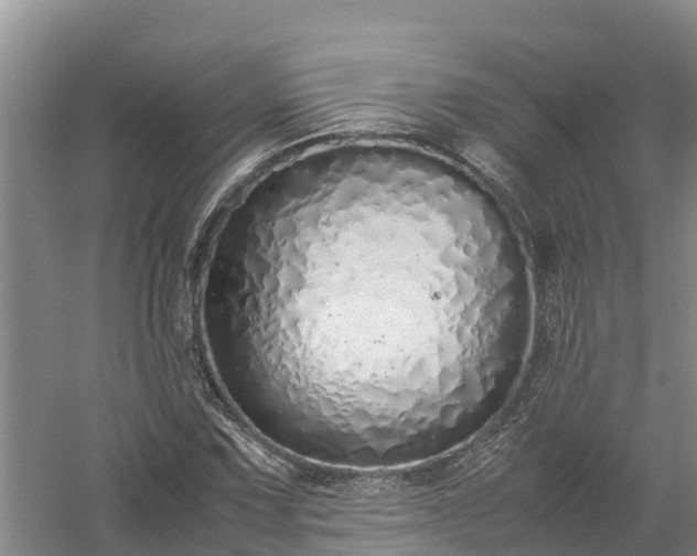 X0000058111067200509301855