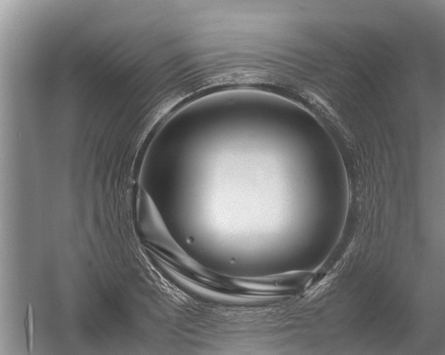 X0000058111081200509301854