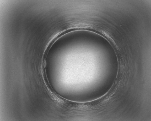 X0000058111085200509301854