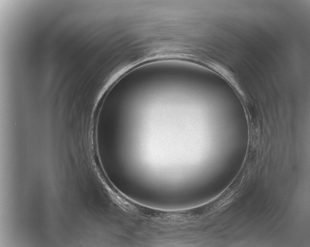 X0000058111101200509301854