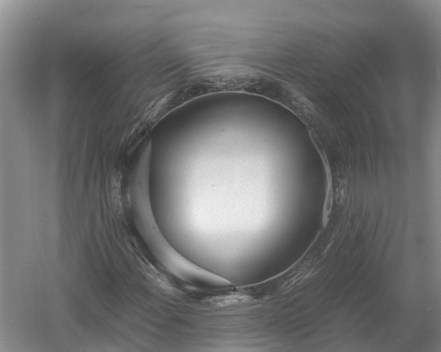 X0000058111108200509301853