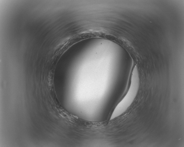X0000058111110200509301853