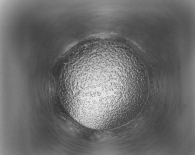 X0000058111158200509301853