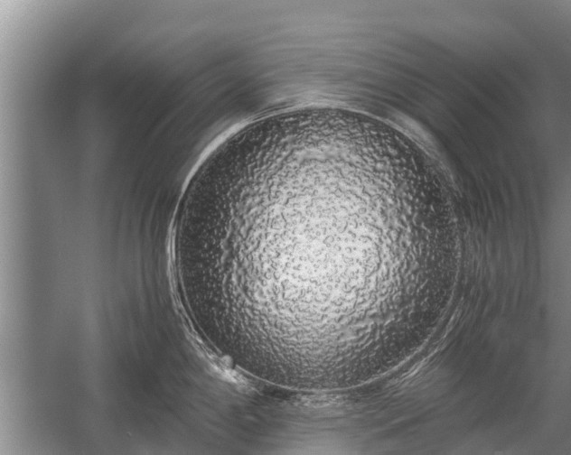 X0000058111198200509301852