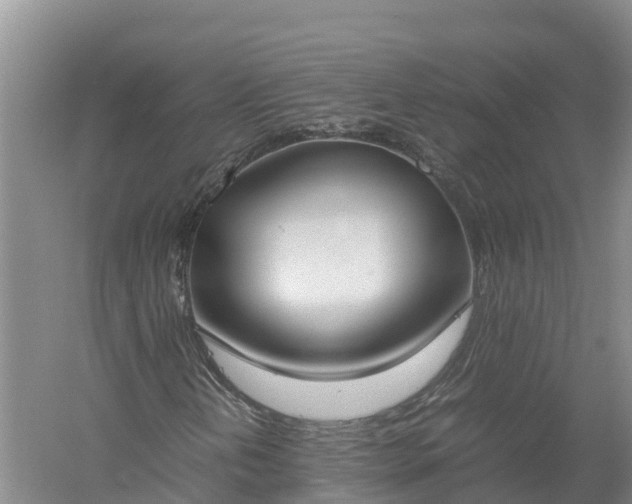 X0000058111202200509301851