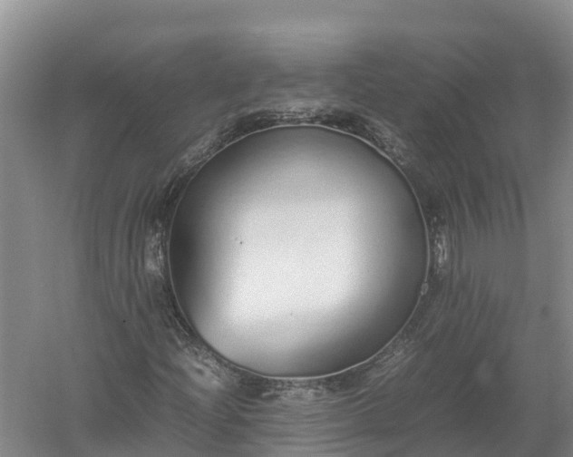 X0000058111204200509301852