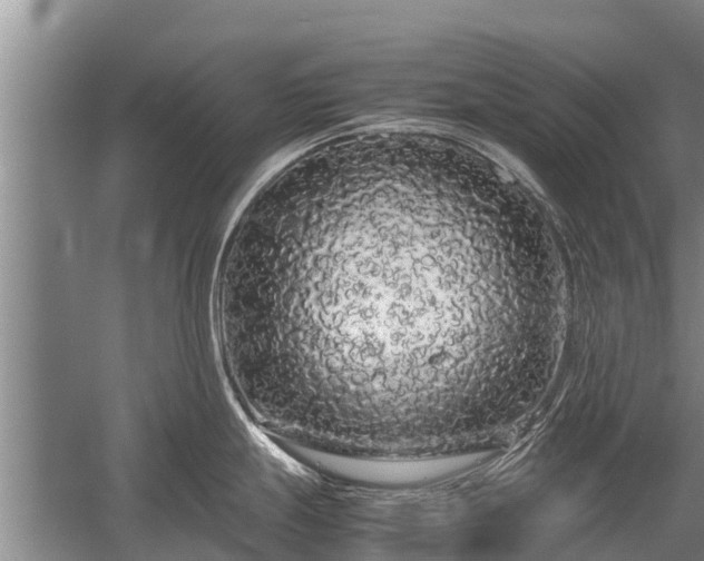X0000058111247200509301852
