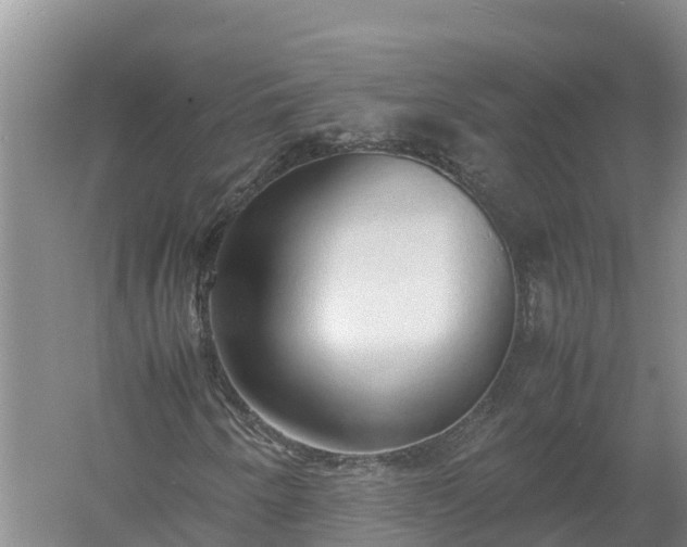 X0000058111250200509301851