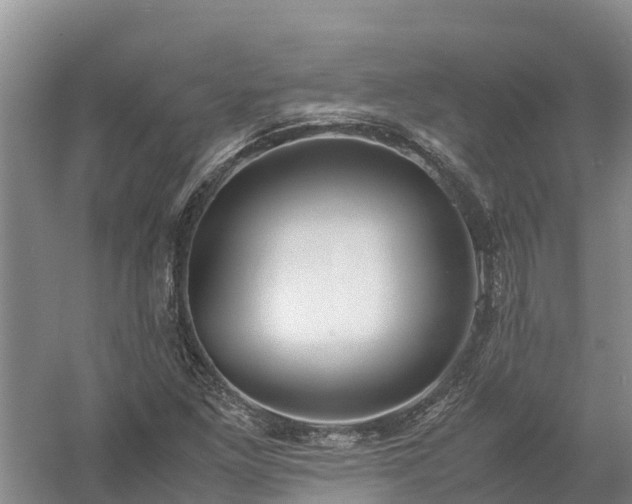 X0000058111261200509301851