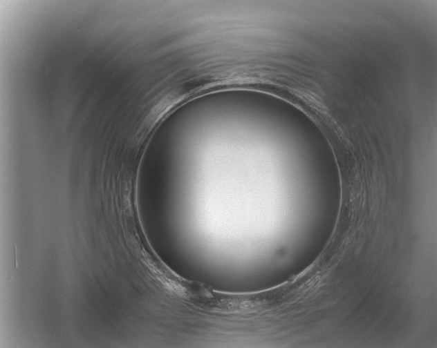 X0000058111273200509301851