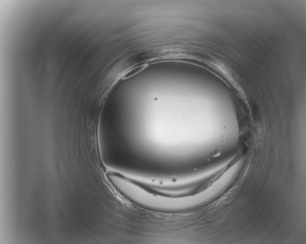 X0000058111289200509301851