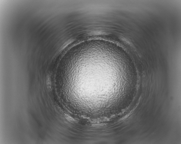 X0000058111305200509301850