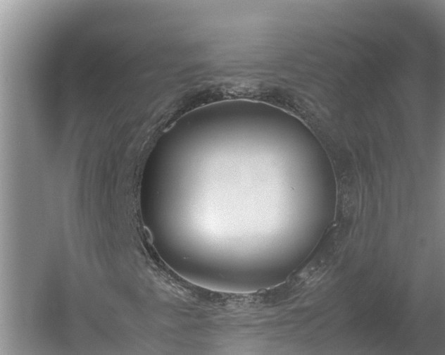 X0000058111345200509301850