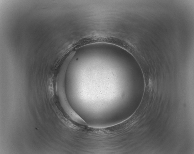 X0000058111348200509301850