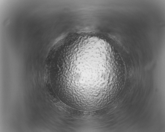 X0000058111350200509301850