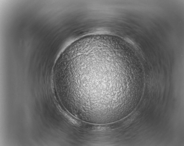 X0000058111374200509301849