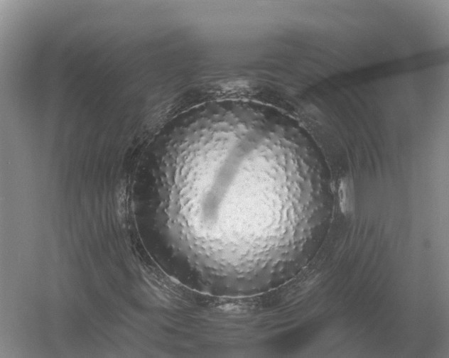 X0000058111395200509301848