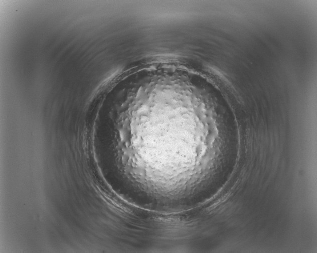 X0000058111403200509301848