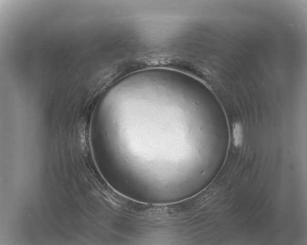 X0000058111444200509301848