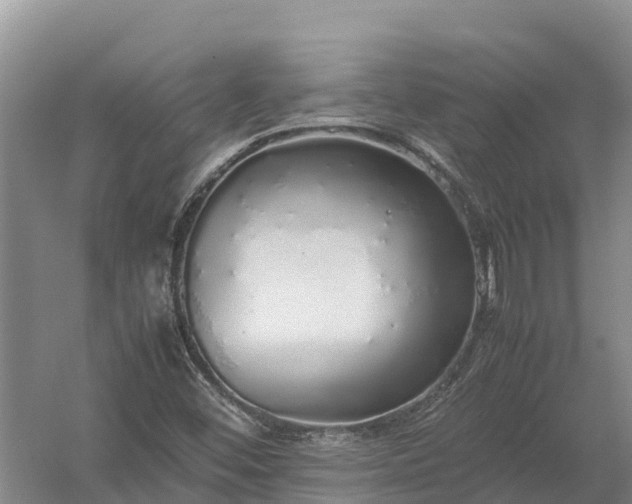 X0000058111452200509301848