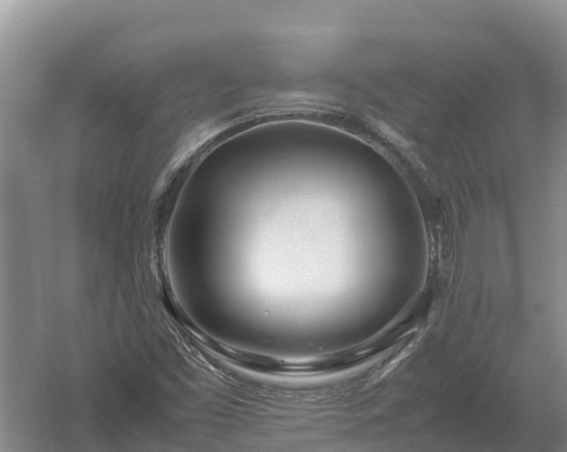 X0000058111453200509301848