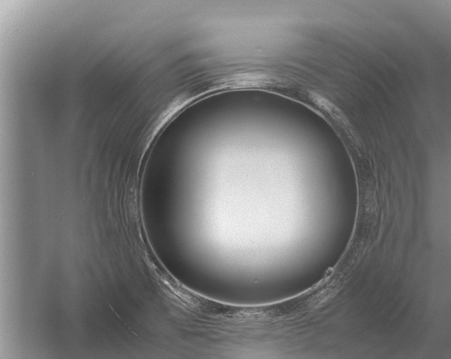 X0000058111473200509301848