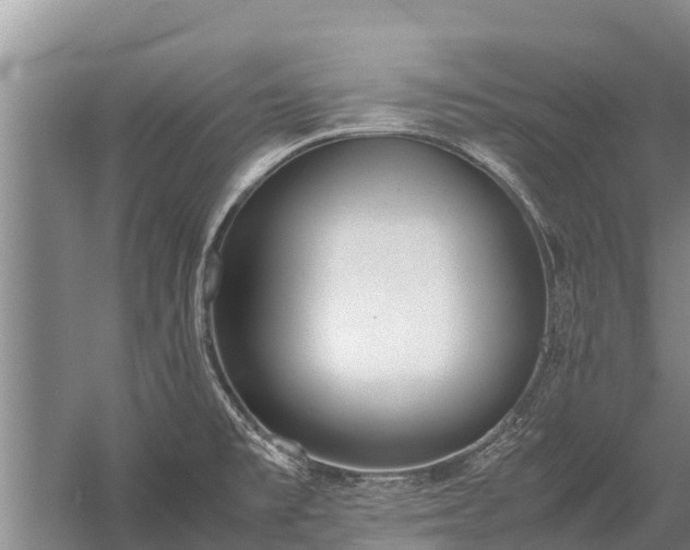 X0000058111477200509301848