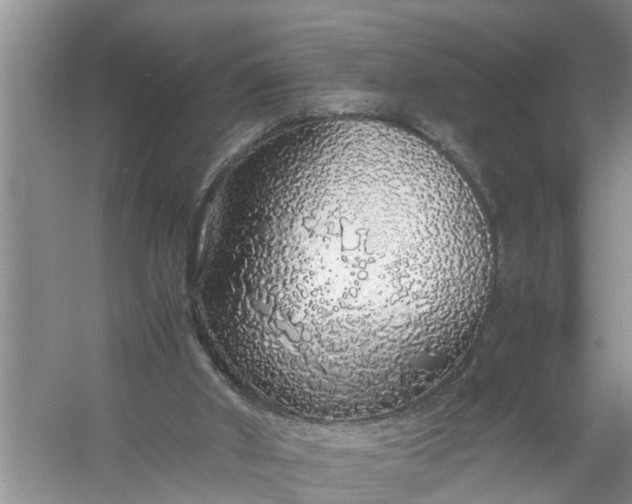 X0000058110010200510071925
