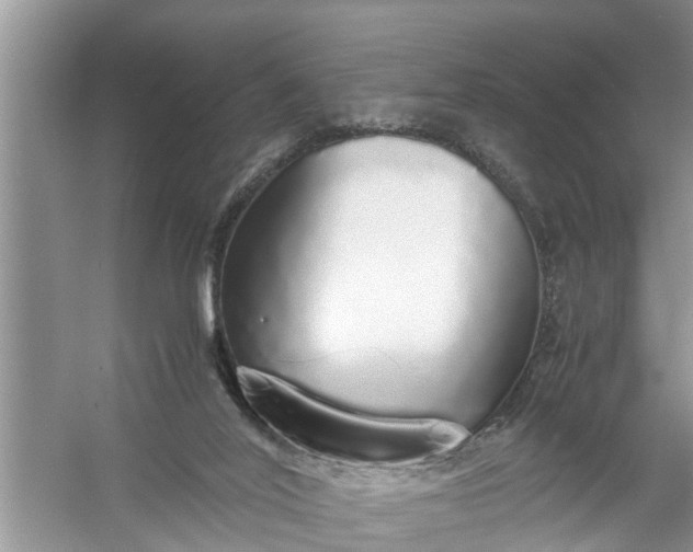X0000058110020200510071925