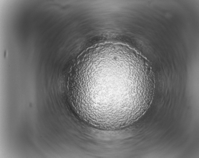X0000058110034200510071925