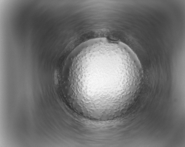 X0000058110038200510071925