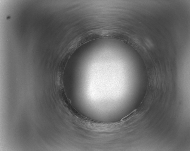 X0000058110044200510071924