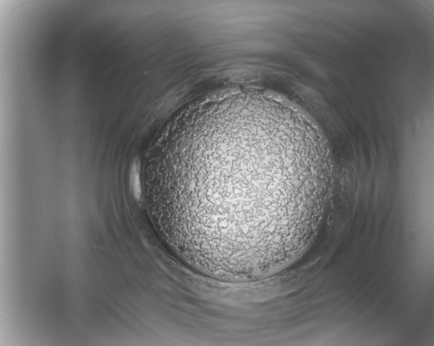 X0000058110046200510071924
