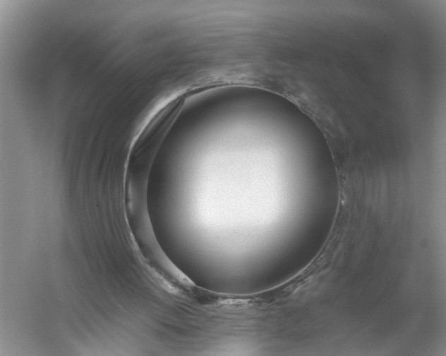 X0000058110052200510071924