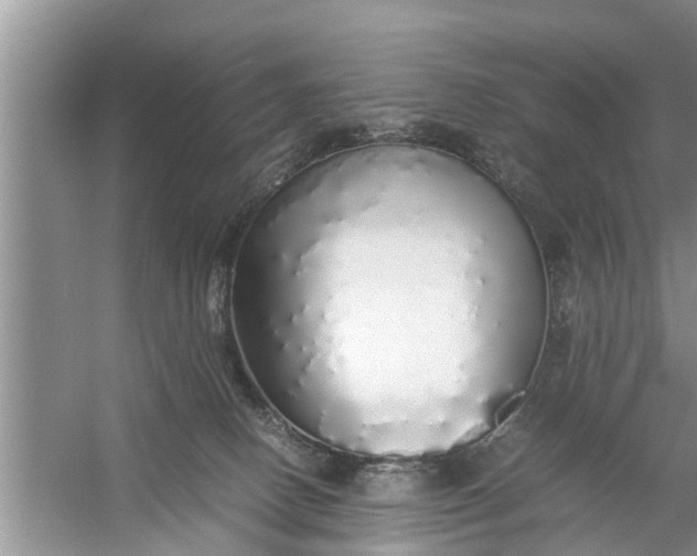 X0000058110082200510071924