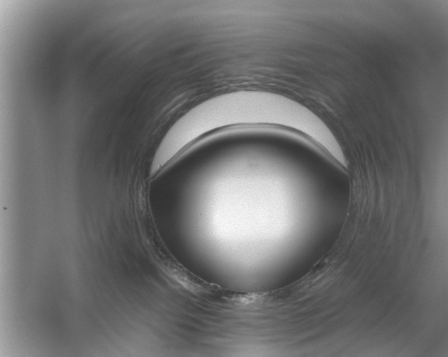 X0000058110092200510071924