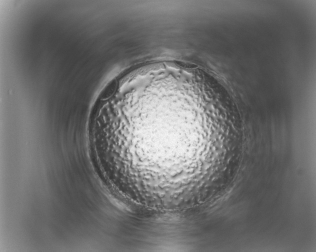X0000058110102200510071923