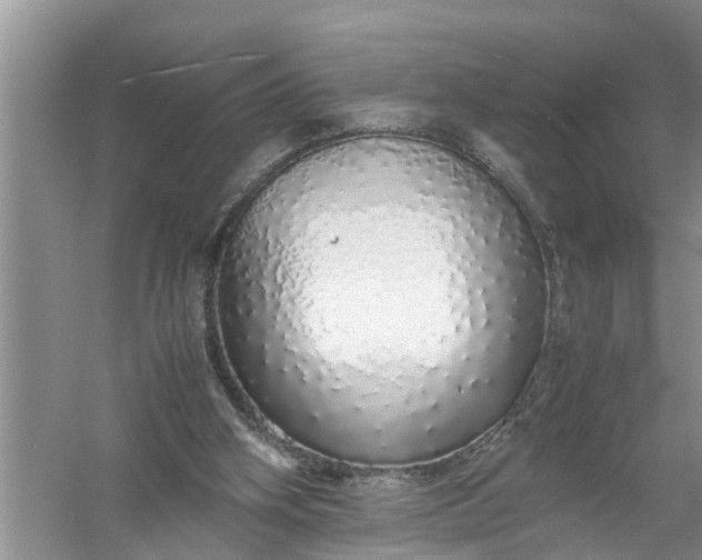 X0000058110106200510071923