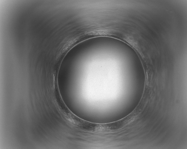 X0000058110109200510071923