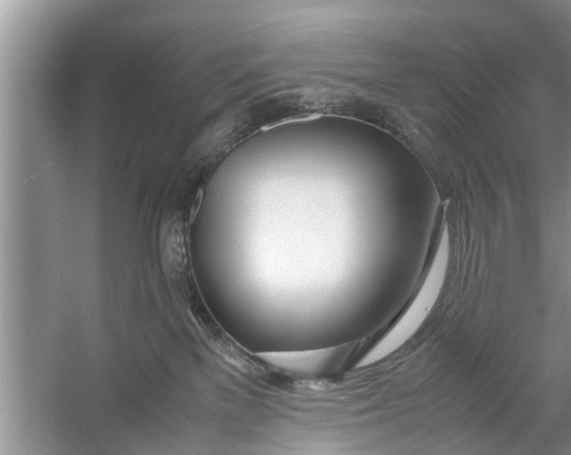 X0000058110137200510071923