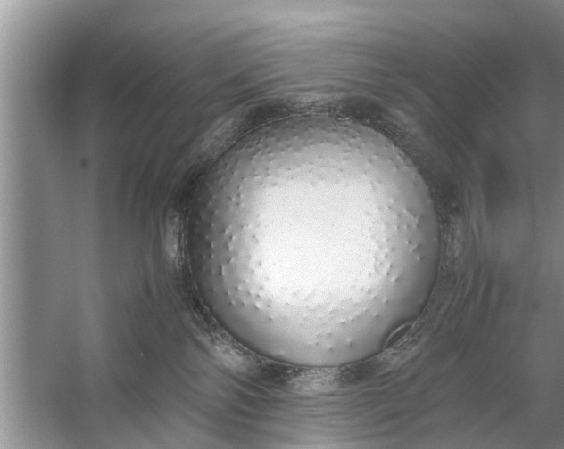 X0000058110138200510071923