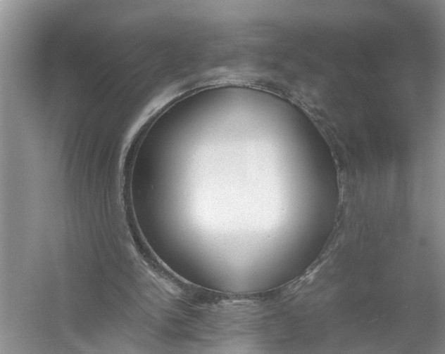 X0000058110150200510071922