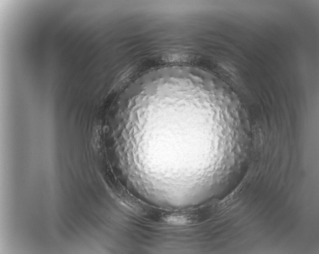 X0000058110171200510071922