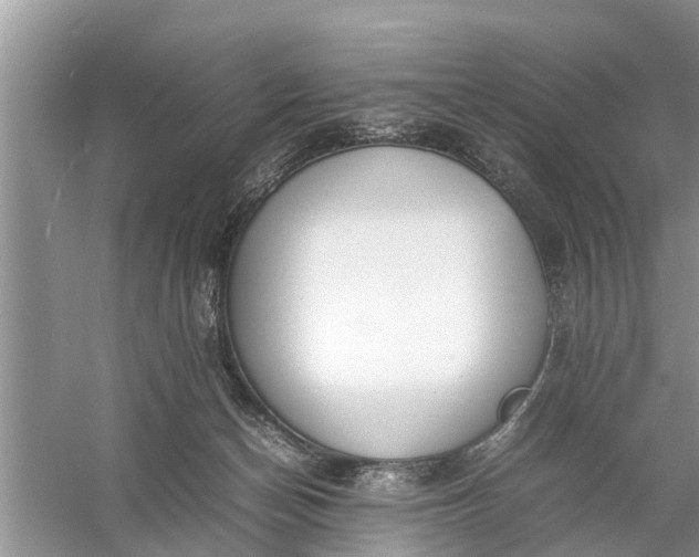 X0000058110174200510071922