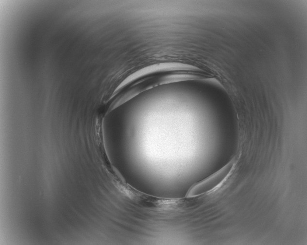 X0000058110192200510071923