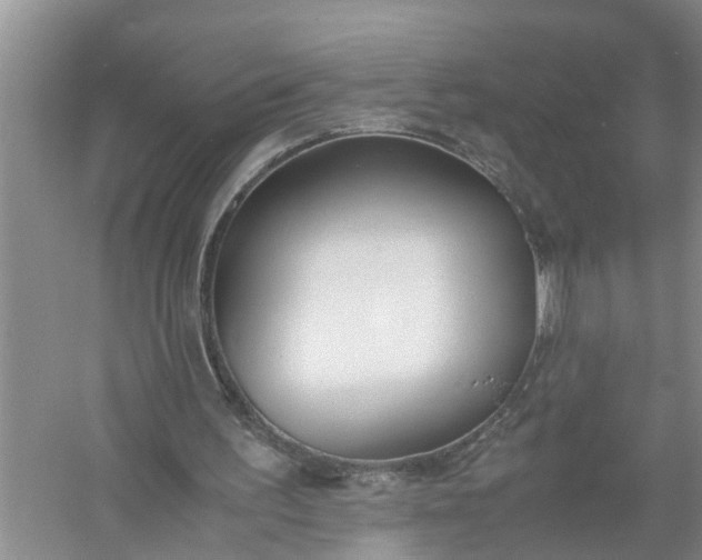 X0000058110195200510071922