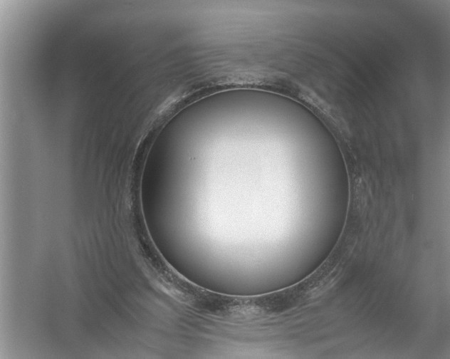X0000058110203200510071922