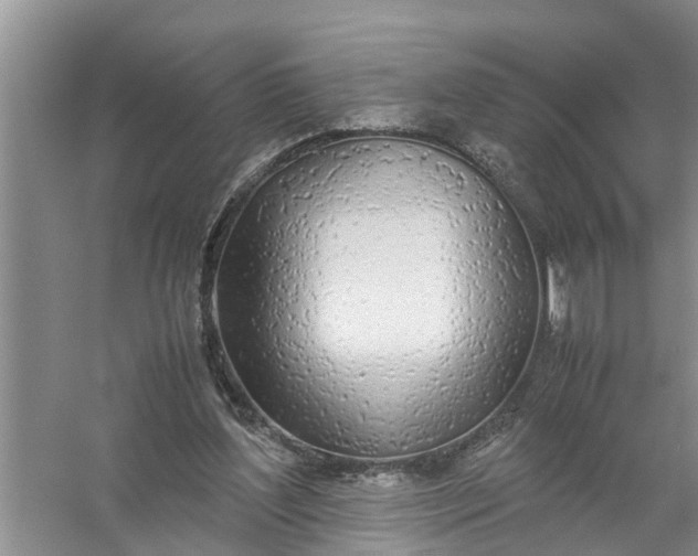 X0000058110204200510071922