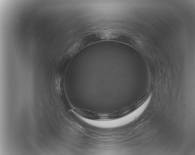 X0000058110219200510071921